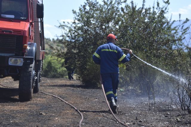 Χαλκιδική: Συναγερμός στην Πυροσβεστική για φωτιά σε δύσβατη δασική περιοχή στη Μόλα Καλύβα