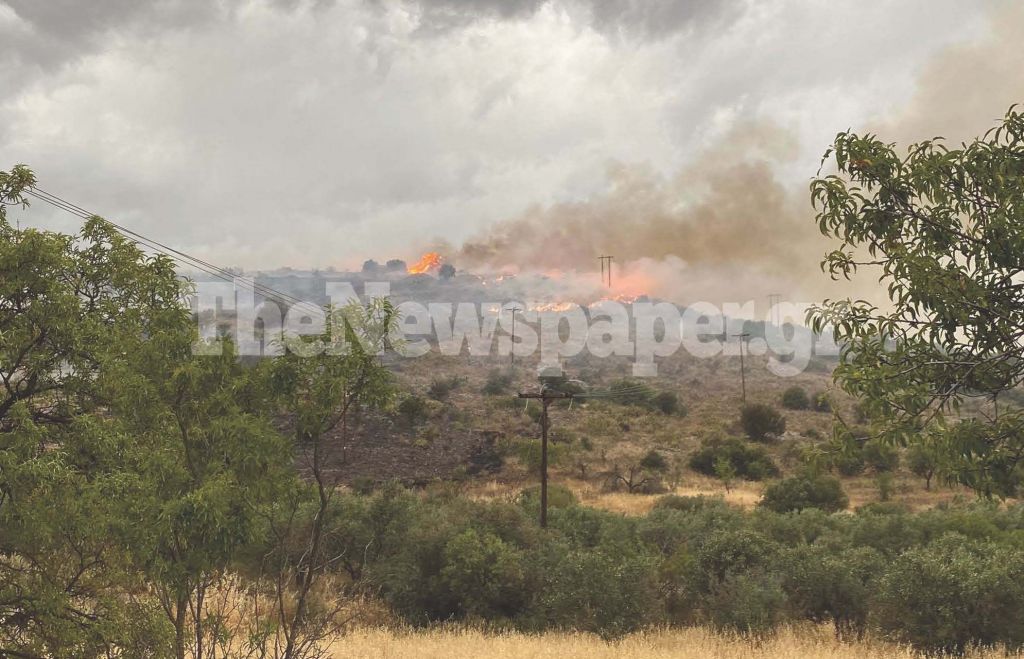 Βόλος: Μεγάλη φωτιά στις Αλυκές – Οι καιρικές συνθήκες ευνοούν την επέκταση του πύρινου μετώπου