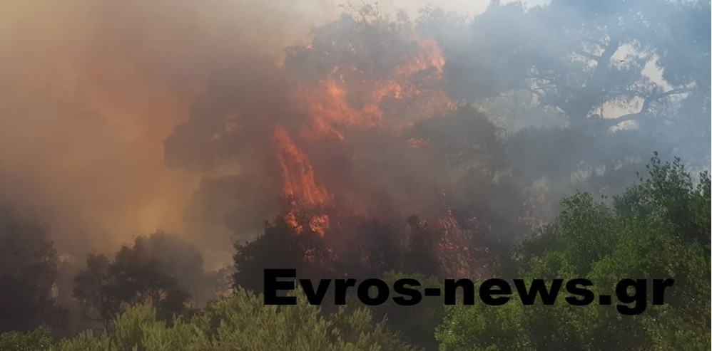 Eβρος: Επιχείρηση της Πυροσβεστικής για την κατάσβεση πυρκαγιάς στο Αρίστηνο