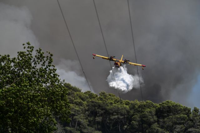 Νέα φωτιά στα Κρέστενα