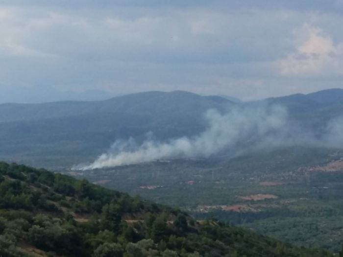 Αρκαδία: Φωτιά στην περιοχή Κακουραίικα