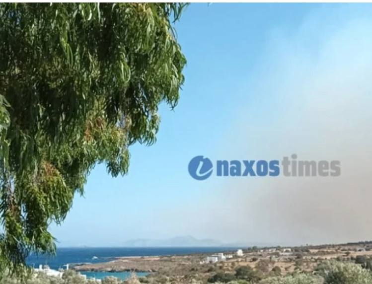Φωτιά: Ενισχύονται οι πυροσβεστικές δυνάμεις στη Νάξο