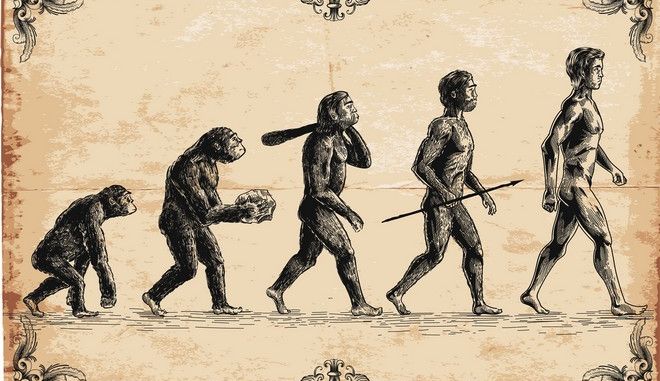 Ο αφρικανικός πρόγονος περπατούσε στα 2 πόδια του ήδη πριν 7 εκατ. χρόνια