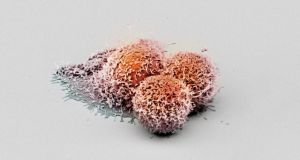 Καρκίνος: Εξι ιοί που μπορούν να τον προκαλέσουν