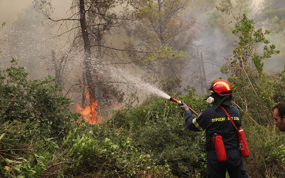 Φωτιά στη Φθιώτιδα: Εκδηλώθηκε ταυτόχρονα σε τέσσερα διαφορετικά σημεία μέσα σε δάσος στη Συκά Υπάτης