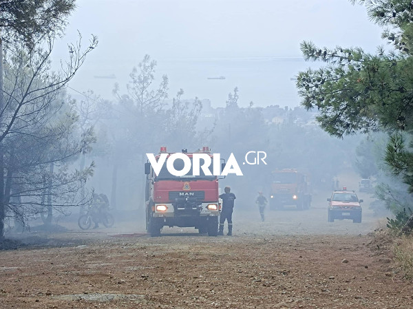 Οριοθετήθηκε η πυρκαγιά στο Σέιχ Σου