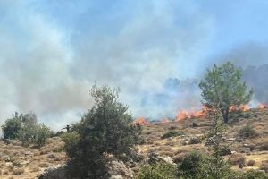 Φωτιά στον Πετσοφά – Δίπλα στο μεγάλο δάσος