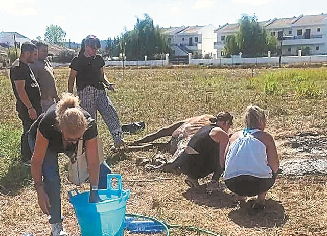 Ανθρωποι – θηρία εναντίον ζώων