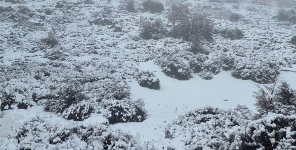 Χιονίζει στην Κρήτη – Στα λευκά ο Ψηλορείτης