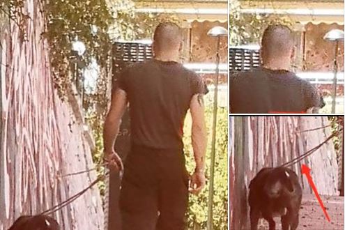 Τον ιδιοκτήτη σκύλου που σκοτώνει γάτες αναζητά η αστυνομία
