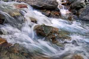 Αστυνομικός βούτηξε σε χείμαρρο και έσωσε παππού και εγγονή