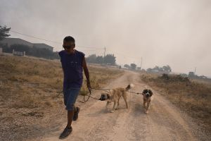 Ανατριχιαστικές οι περιγραφές από τη φωτιά στη Ρόδο – «Γύρω ήταν όλα καμένα»