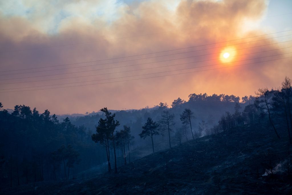 Στο έλεος της πυρκαγιάς η Ρόδος – Νύχτα τρόμου για χιλιάδες ανθρώπους – Καίγονται σπίτια