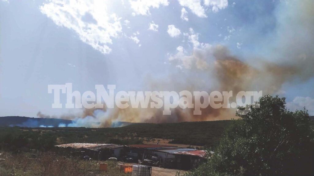 Φωτιά κοντά στις Γλαφυρές Μαγνησίας στο πεδίο βολής του Στρατού