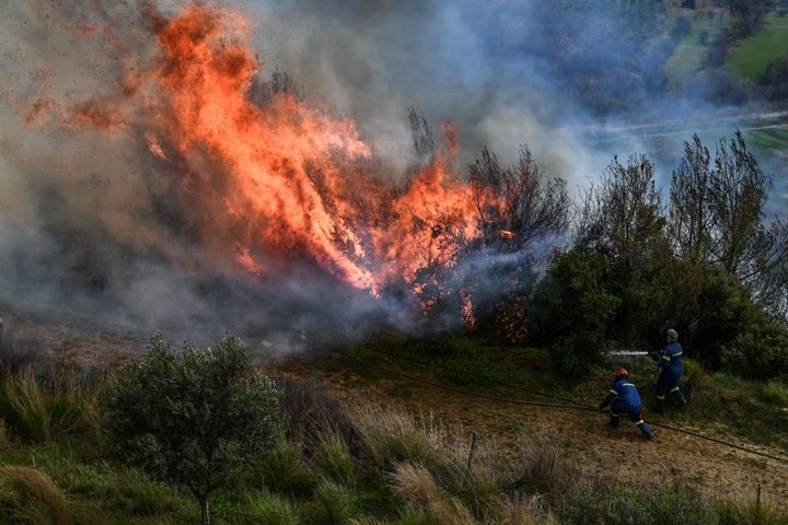 Φωτιά σε δασική έκταση στο Πλατυγιάλι Αστακού στο Μεσολόγγι