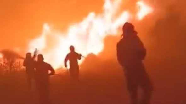 Η μάχη των πυροσβεστών με τις φλόγες στα Λάερμα