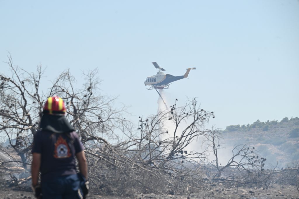 Τα απαράδεκτα σχόλια στον Γρηγόρη Γκουντάρα που ζήτησε βοήθεια για τη φωτιά στο Λαγονήσι