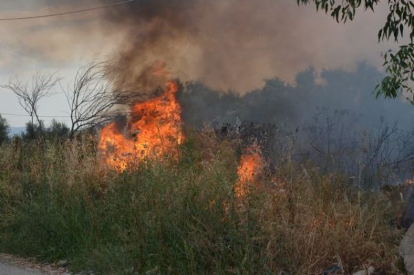 Συναγερμός στην Πυροσβεστική: Μεγάλη φωτιά στον Αστακό – Στη μάχη και εναέρια μέσα
