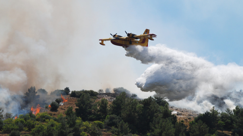 Κεφαλονιά: Φωτιά σε αγροτοδασική έκταση στην περιοχή Κατελειός