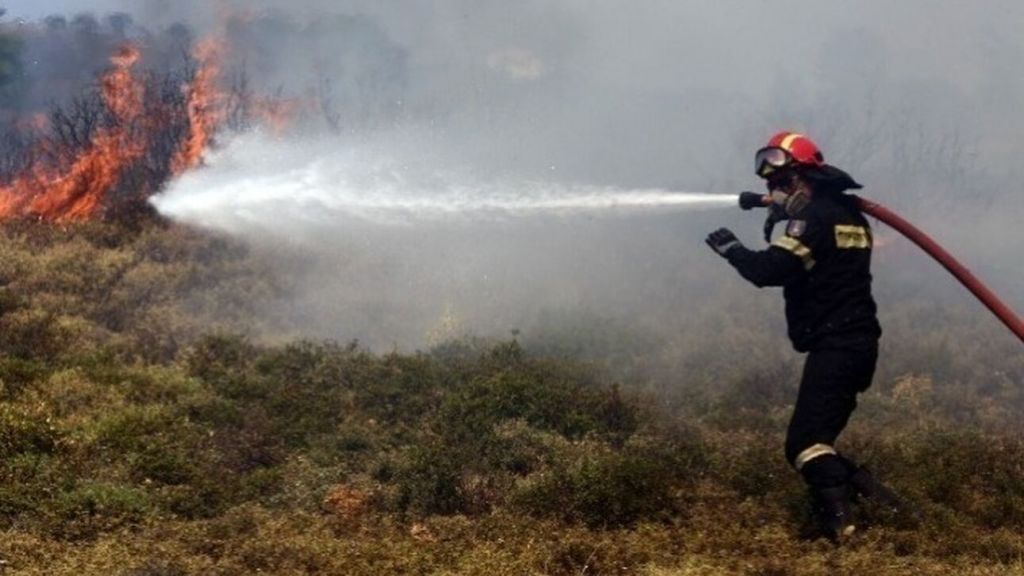 Συναγερμός στην Πυροσβεστική για δασική πυρκαγιά στην Ψάθα Αττικής