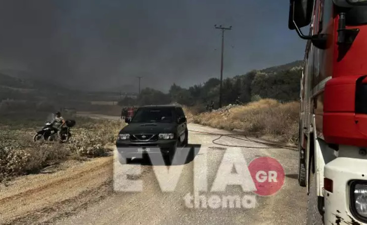 Φωτιά στην Εύβοια: Μηνύματα από το 112 σε Ψαχνά και Βόρεια Αρτάκη