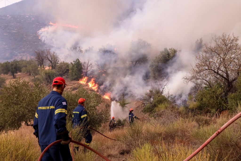 Φωτιά στη Μαγνησία: Μήνυμα εκκένωσης από το 112 στις Ασπρες Πεταλούδες