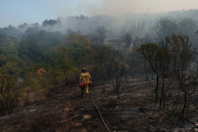 Φωτιά στον Εβρο: Απεγκλωβίστηκαν από πυροσβέστες 25 μετανάστες στο δάσος της Δαδιάς