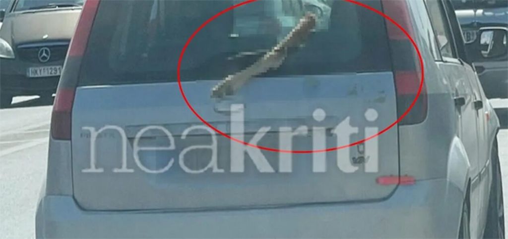 Φρίκη στην Κρήτη: Κυκλοφορούσε με ένα πόδι κατσίκας στο παρμπρίζ του αυτοκινήτου του