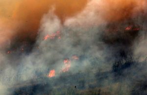 Καμπανάκι πυρομετεωρολόγου: Μεγάλη ανησυχία για τις δασικές πυρκαγιές – Το τρίπτυχο της διαχείρισης