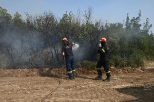Σέρρες: Φωτιά καίει δασική έκταση στον δήμο Σιντικής