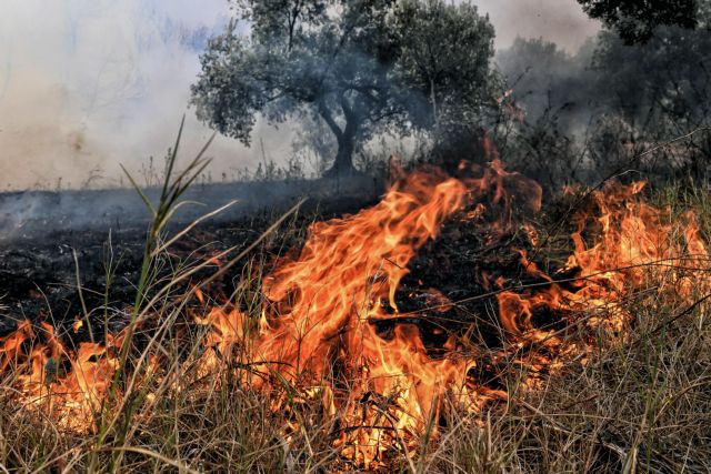 Φωτιά στη Βαρυμπόμπη – Επιχειρούν και εναέρια μέσα