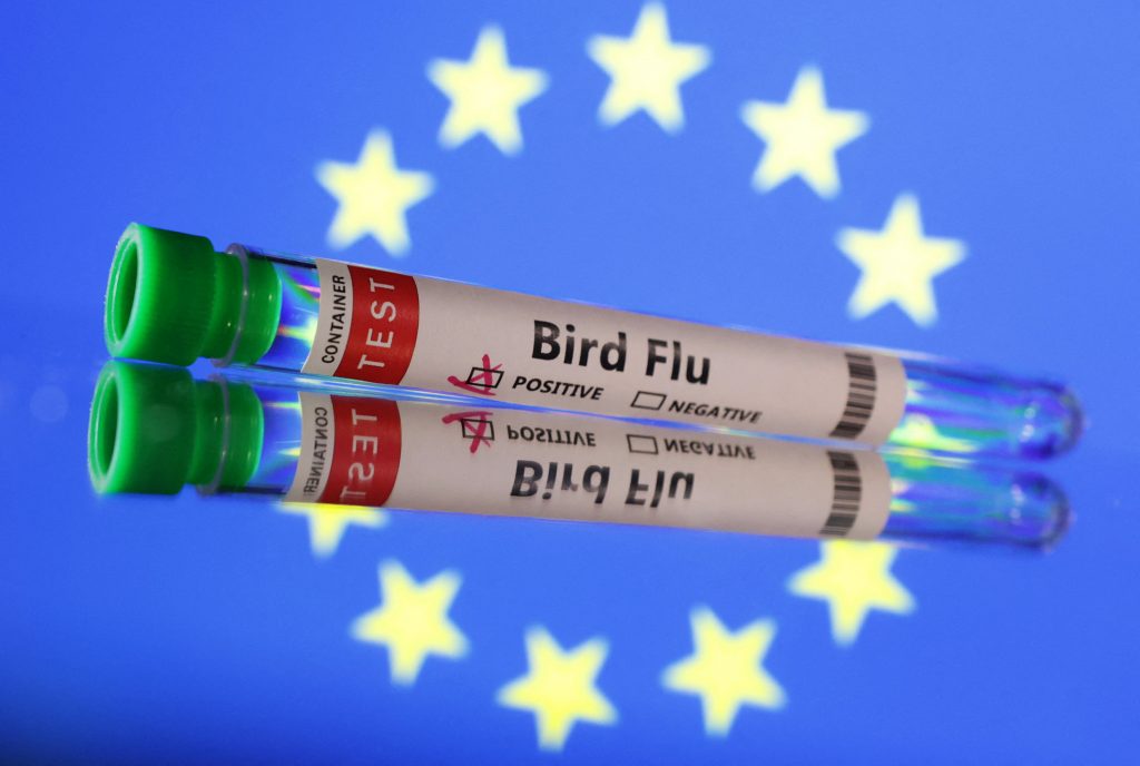 Γρίπη των πτηνών: Η Φινλανδία θα εμβολιάσει προληπτικά ανθρώπους για πρώτη φορά