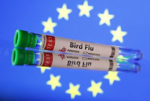 Γρίπη των πτηνών: Η Φινλανδία θα εμβολιάσει προληπτικά ανθρώπους για πρώτη φορά