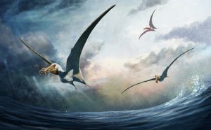 Αυστραλία: Ανακαλυφθήκαν απολιθώματα ιπτάμενου ερπετού – Ήταν γνωστό ως «φάντασμα της θάλασσας»