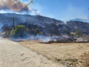 Φωτιές τώρα: Συναγερμός και εκκενώσεις χωριών σε Αχαΐα και Αργολίδα – Πρόβλημα με το 112