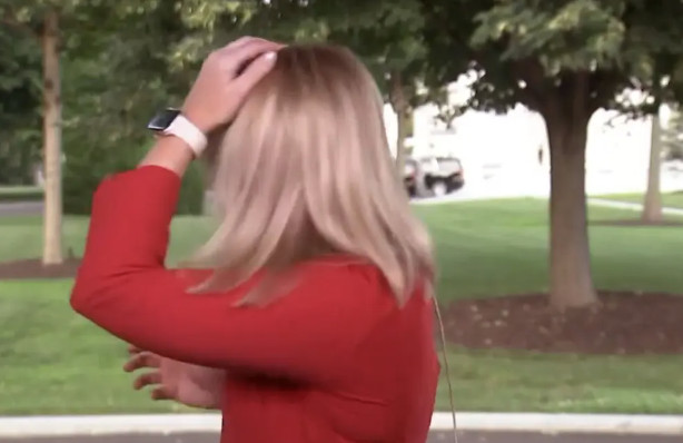 Ουάσιγκτον: Πουλί προσγειώνεται στο κεφάλι δημοσιογράφου σε ζωντανή σύνδεση (βίντεο)