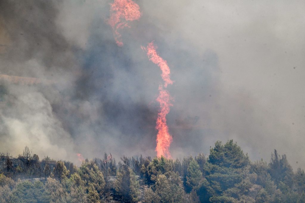 Φωτιά στην Αργολίδα: Καίγεται δασική έκταση στους Κοκκινάδες – Επιχειρούν και εναέρια μέσα