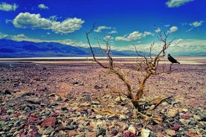 Κλιματική κρίση: Καύσωνες, ξηρασίες, πυρκαγιές και πλημμύρες θα επιδεινωθούν