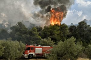 Νευροκόπι: Φωτιά σε δασική έκταση στην περιοχή Τσακαλίνα