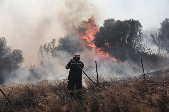 Πυρκαγιά στο Μαρκόπουλο – Επιχειρούν αεροσκάφη και ελικόπτερα