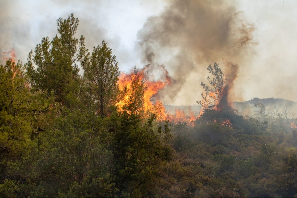 Νάξος: Πυρκαγιά σε δασική περιοχή – Μήνυμα του 112 ζητά την απομάκρυνση των κατοίκων