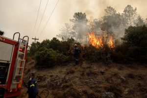 Φωτιά σε αγροτική έκταση στο Νεοχωράκι Βοιωτίας – Επιχειρούν εναέρια μέσα