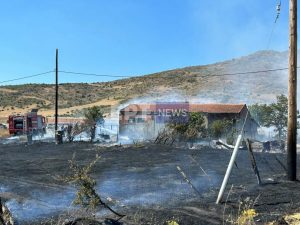 Καστοριά: Συναγερμός για φωτιά στο Βιομηχανικό Πάρκο – Κάηκε ένας ορνιθώνας