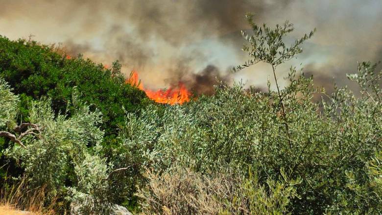 Φωτιά στην Κέα: Εκκενώνεται η περιοχή Λιγιά