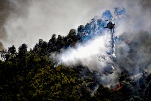 Φωτιά στο Σοφικό: Διάσπαρτες εστίες προσπαθούν να σβήσουν οι πυροσβέστες
