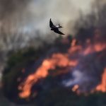 Φωτιά τώρα στην Εύβοια: Νέα 112 για Καμάρι, Καλύβια και Άγιο Γεώργιο – «Εκκενώστε προς Χαλκίδα»