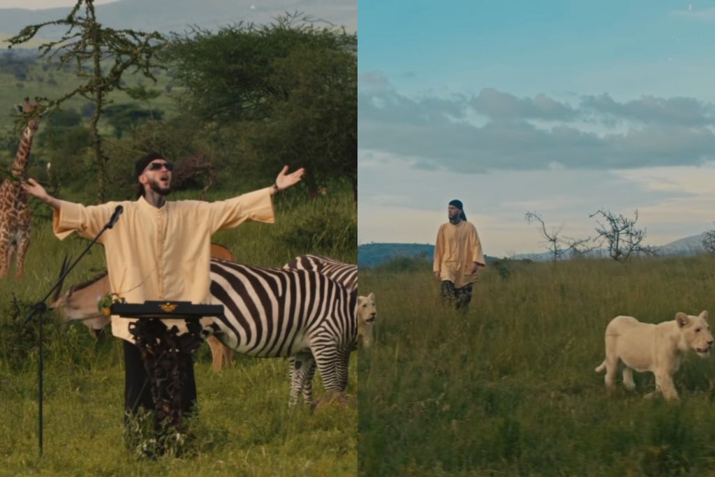 DJ παίζει μουσική στη ζούγκλα δίπλα σε… άγρια ζώα – Δείτε το viral βίντεο