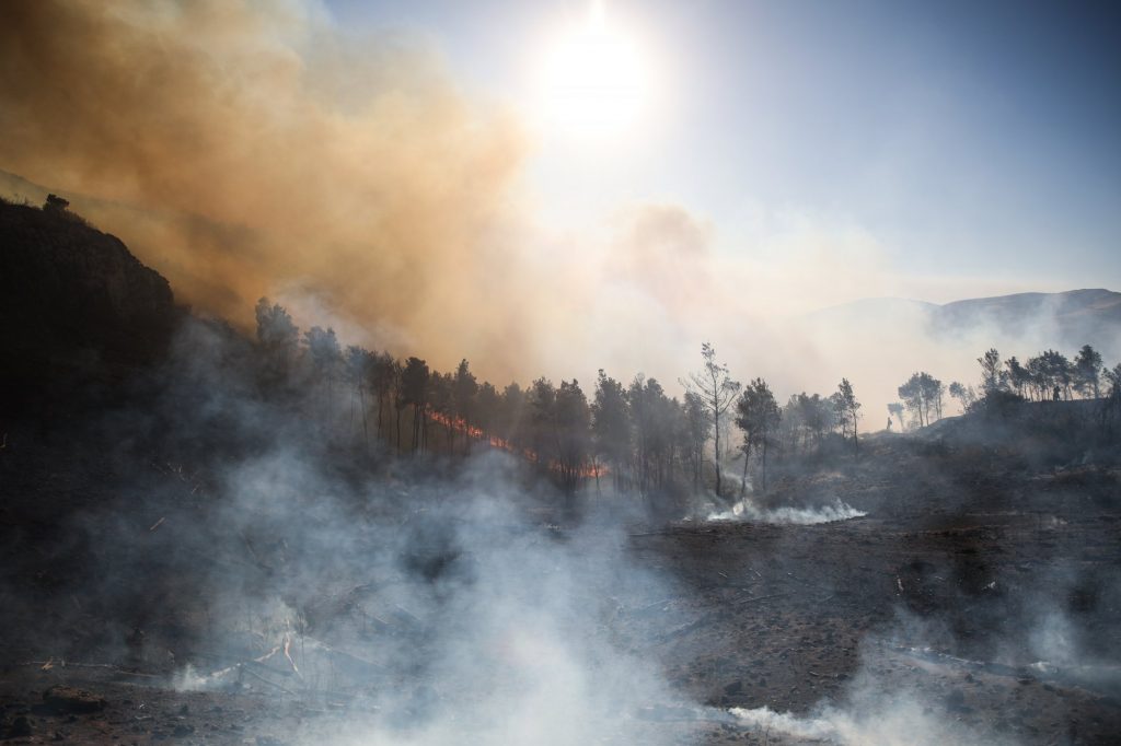 Φωτιά: Συνεχίζεται η κατάσβεση σε Ζάκυνθο, Δίστομο και Κερατέα – Χωρίς ενεργό μέτωπο η Σταμάτα