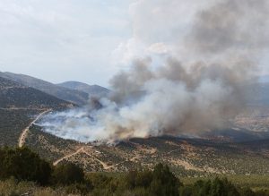 Μεγάλη φωτιά στη Φωκίδα – Εντολή εκκένωσης στο χωριό Μισόκαμπος