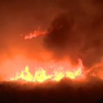 Ολονύχτια μάχη με τις φλόγες στην Εύβοια – Σε ετοιμότητα το Λιμενικό για εκκενώσεις δια θαλάσσης